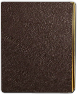 Klik on The Book to kig in it